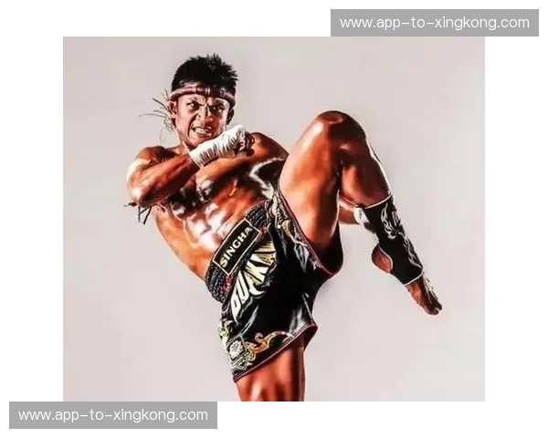 擂台上的神迹：张开印vs播求视频中，藏着散打与泰拳的最后尊严